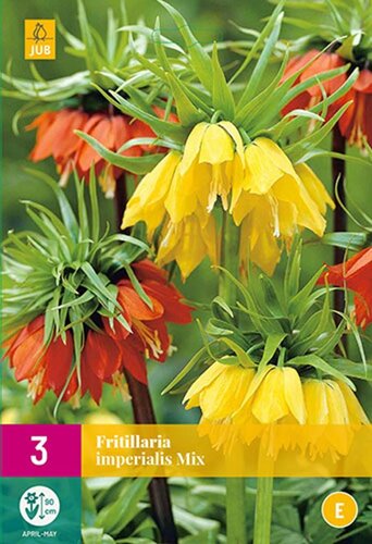 Fritillaria imperialis mix 3 bollen
