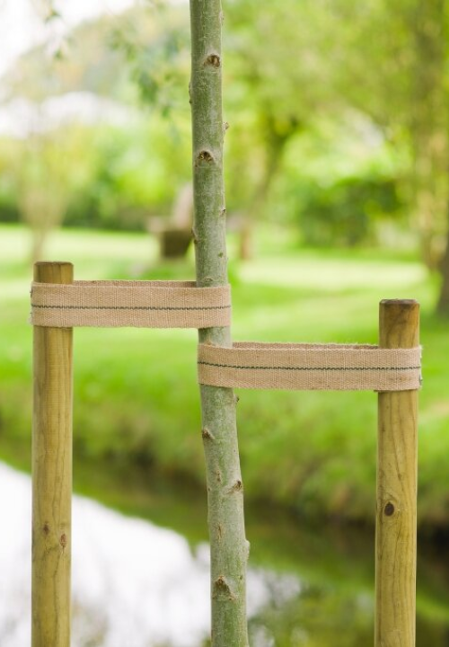 Nature boomband | deOosteindeOnline.nl Nature boomband | deOosteindeOnline.nl