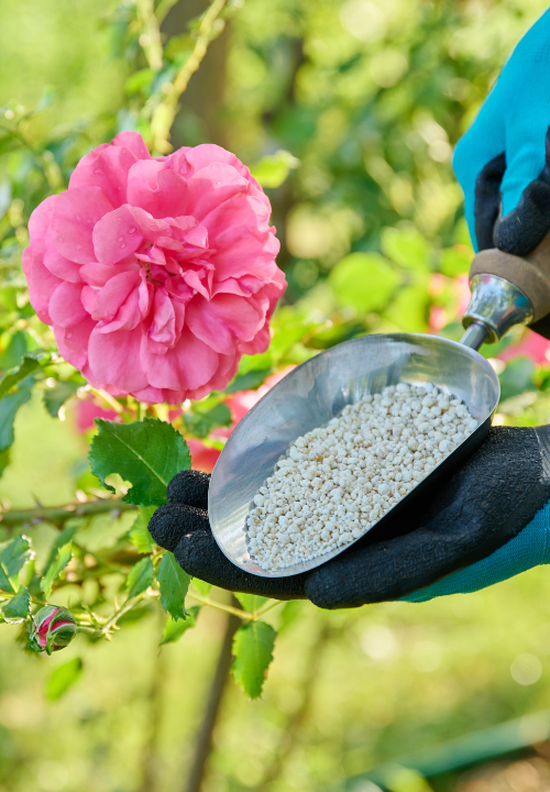 Bio tuinplantenvoeding | deOosteindeOnline.nl