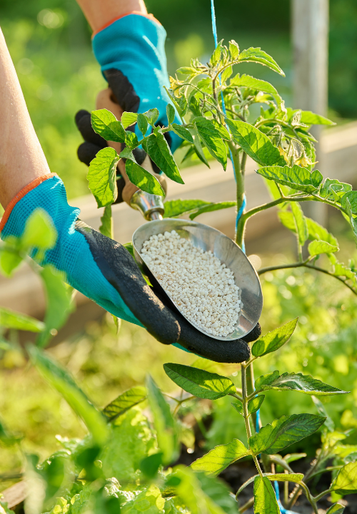 Bio tuinplantenvoeding | deOosteindeOnline.nl