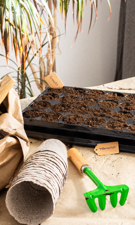 Biologische zaden voor de moestuin kopen? deOosteindeOnline.nl helpt je!