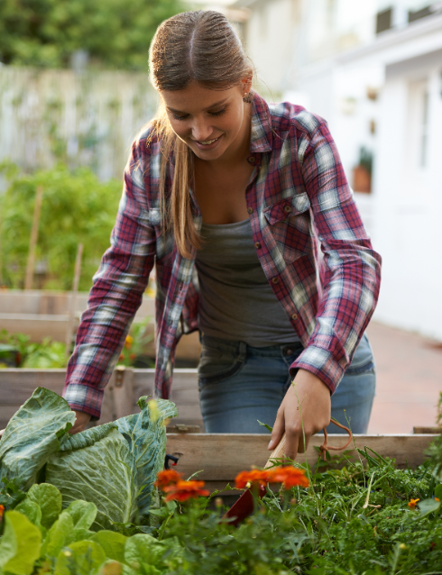 DCM vegan tuinieren? deOosteindeOnline.nl helpt je!