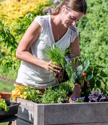 Biologisch tuinieren? Ontdek de vegan plantenvoeding en potgrond van deOosteindeOnline.nl!