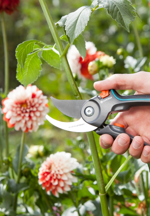 Snoeien met Gardena | deOosteindeOnline.nl