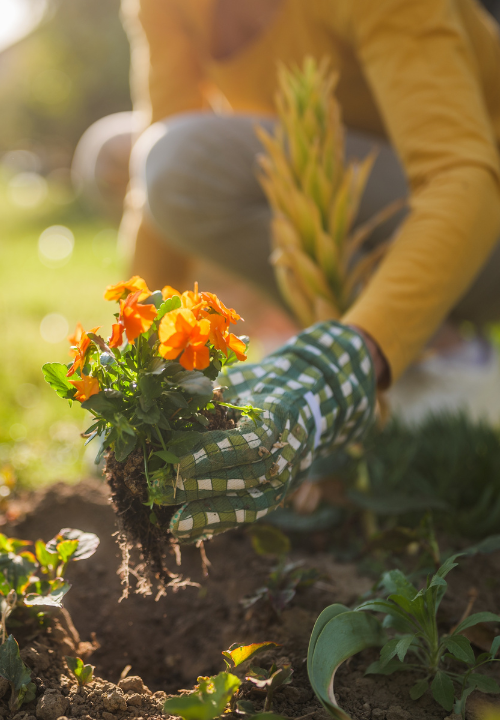 Tuinhandschoenen | deOosteindeOnline.nl