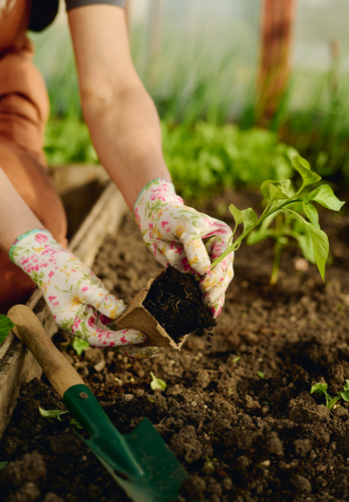 Tuinhandschoenen | deOosteindeOnline.nl
