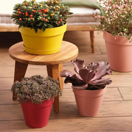 Jouw elho pot shop je op deOosteindeOnline.nl! Jouw elho pot shop je op deOosteindeOnline.nl!