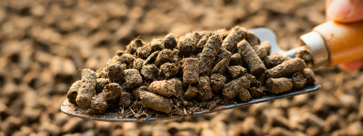 Ecotop: duurzame meststoffen voor een gezonde tuin