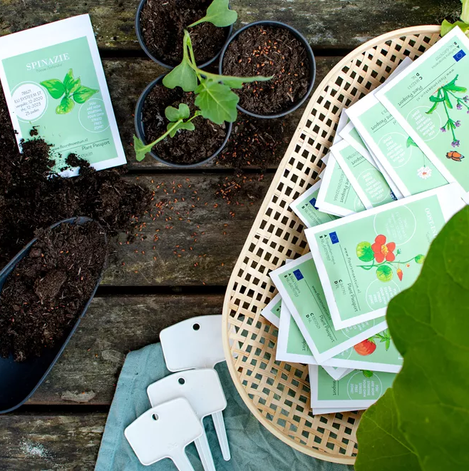 Makkelijke moestuin starten? deOosteindeOnline.nl helpt je!