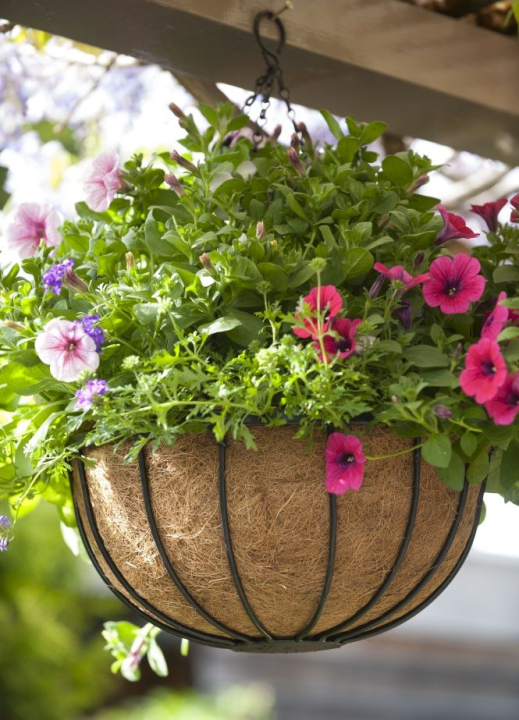 Jouw Nature hanging basket shop je op deOosteindeOnline.nl!