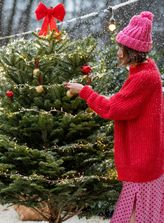 Alles voor kerst koop je op deOosteindeOnline.nl