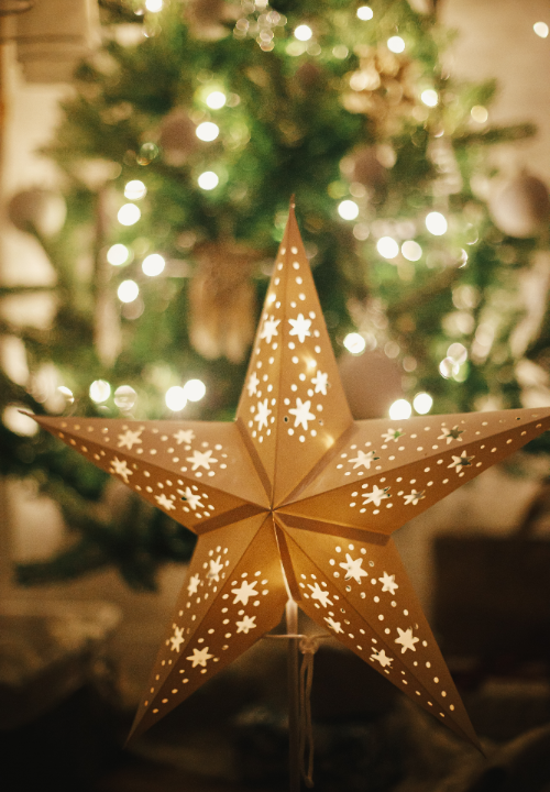 Alles voor kerst koop je op deOosteindeOnline.nl, zoals decoratieve kerstverlichting.