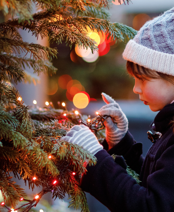 Kerstboomverlichting | de Oosteinde Online