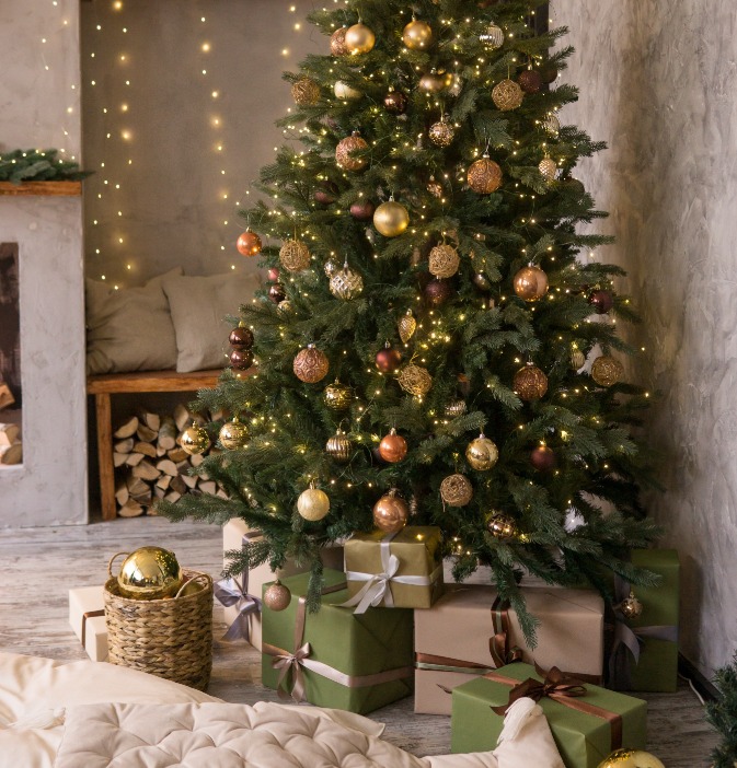 Jouw kerstverlichting shop je op deOosteindeOnline.nl!