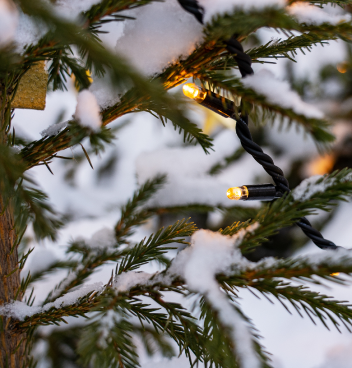 Jouw kerstboomverlichting voor buiten shop je op deOosteindeOnline.nl!