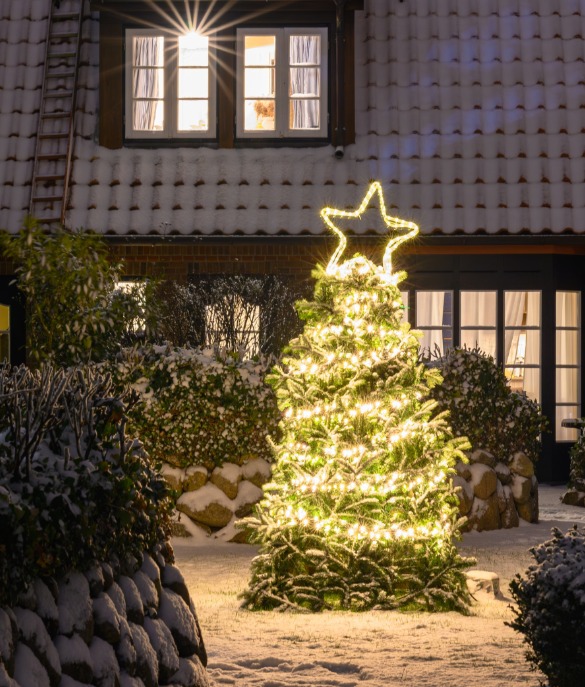 Kerstverlichting voor buiten | de Oosteinde Online