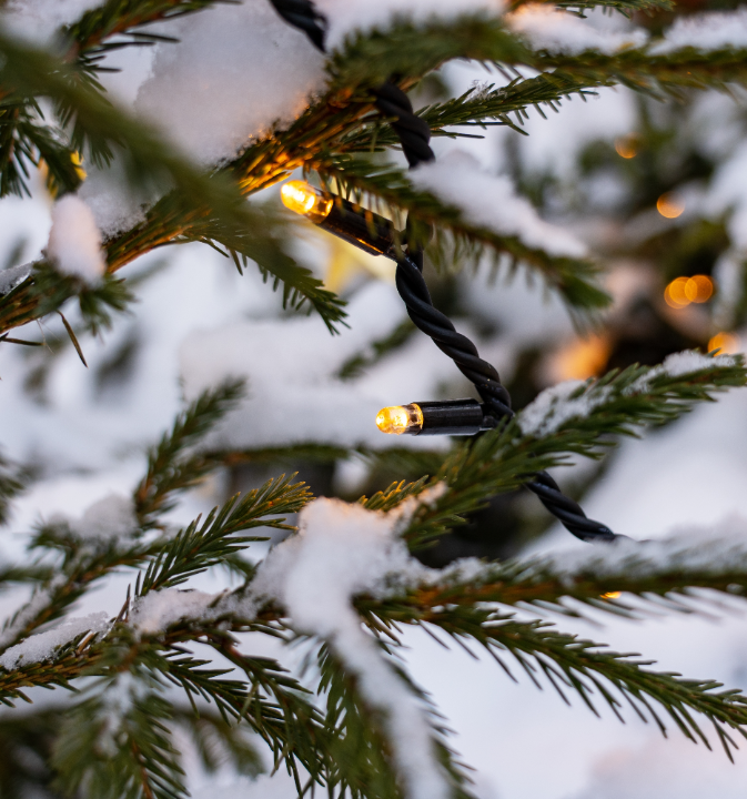 Jouw kerstverlichting shop je op deOosteindeOnline.nl!