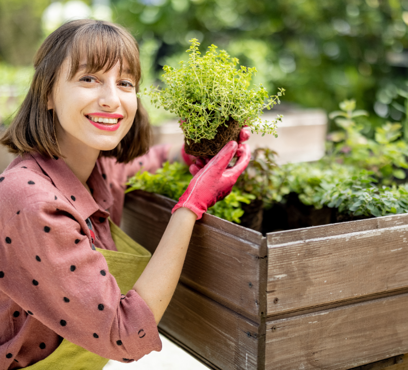 Online PUUR Aroma kruidenplanten kopen | deOosteindeOnline.nl