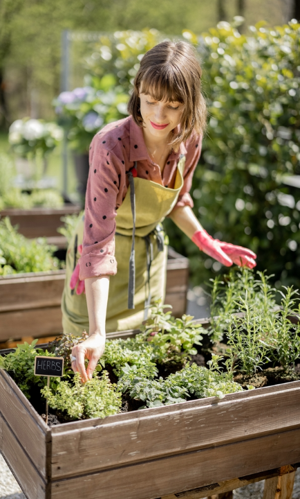 Kruidenzaden voor de moestuin kopen? deOosteindeOnline.nl helpt je!