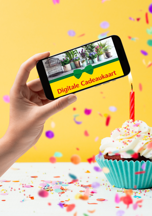 deOosteindeOnline.nl heeft dé groene giftcard voor jou!