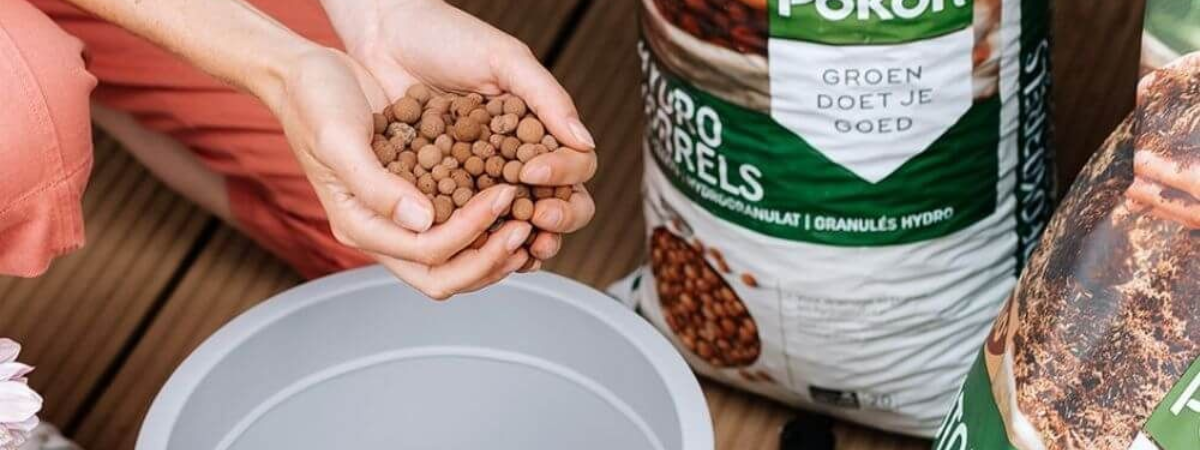 Pokon | deOosteindeOnline.nl