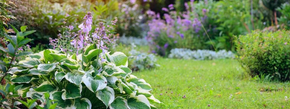 April is dé maand om vaste planten te planten!