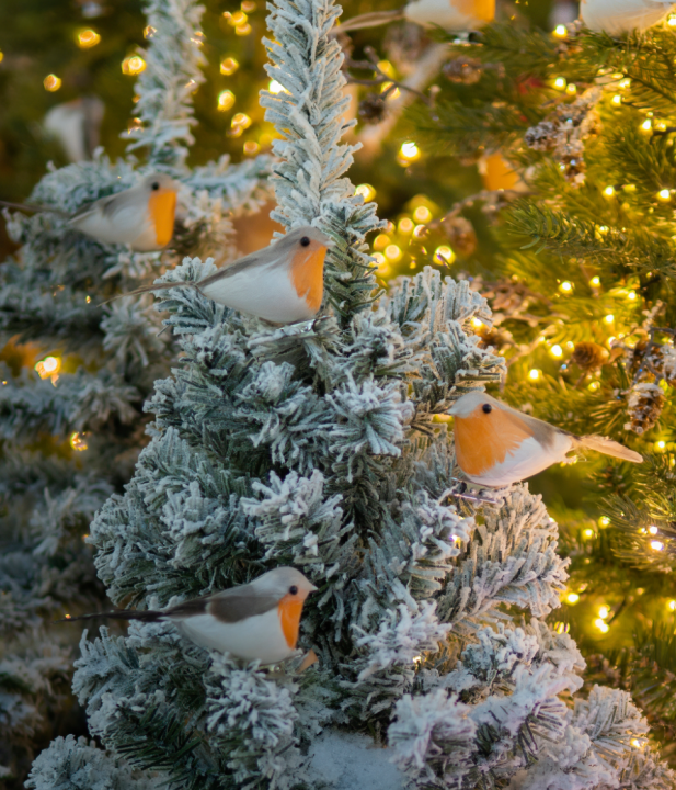 Alles voor kerst koop je op deOosteindeOnline.nl! Ontdek foam kerstversiering. Alles voor kerst koop je op deOosteindeOnline.nl! Ontdek foam kerstversiering.