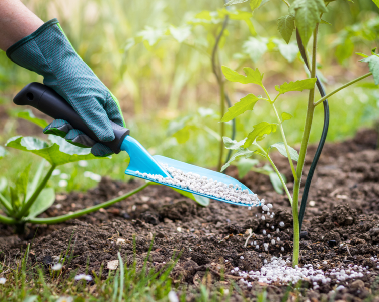 Enkelvoudige mest voor tuinplanten online kopen | deOosteindeOnline.nl