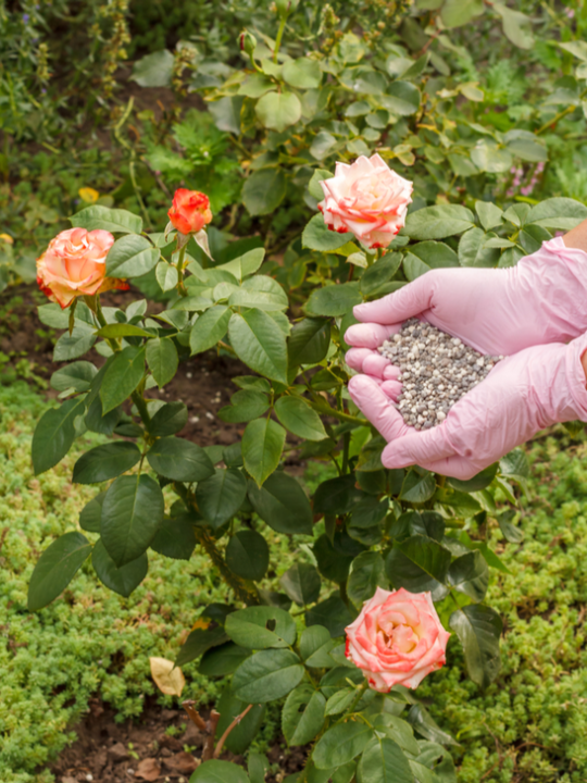 Mest voor tuinplanten online kopen | deOosteindeOnline.nl