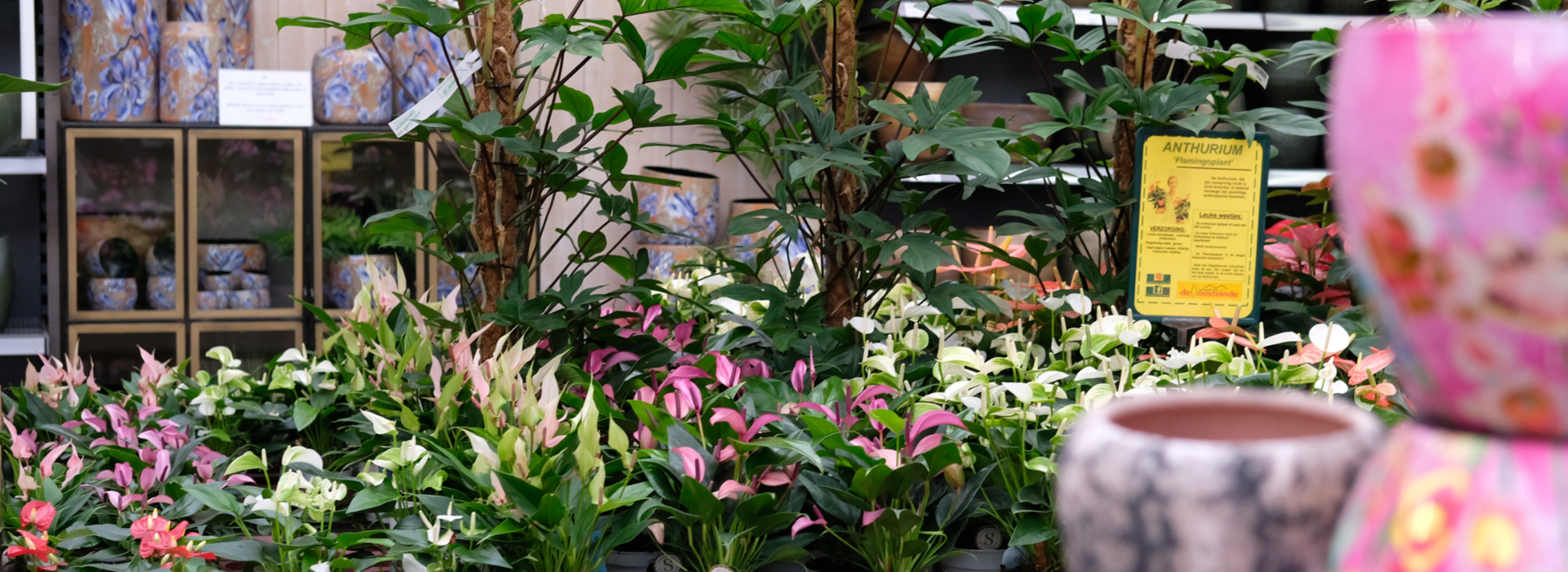 Bezoek ook één van onze winkels!