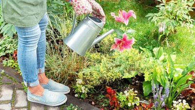 Augustus: zomerse tuintips