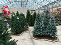 Kerst(kado)markt Hillegom 2023