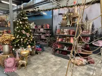 Kerst(kado)markt Hillegom 2023