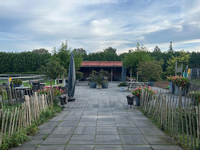 Lunchroom de Oosteinde Hillegom