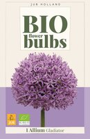Bio allium gladiator 1 bol - afbeelding 1