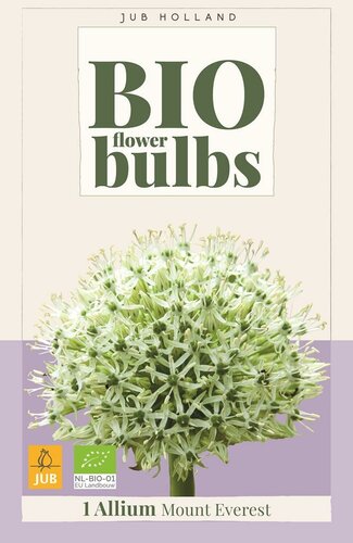 Bio allium mount everest 1 bol - afbeelding 1