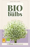 Bio allium mount everest 1 bol - afbeelding 1