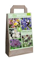 Tas organic spring bijen mix