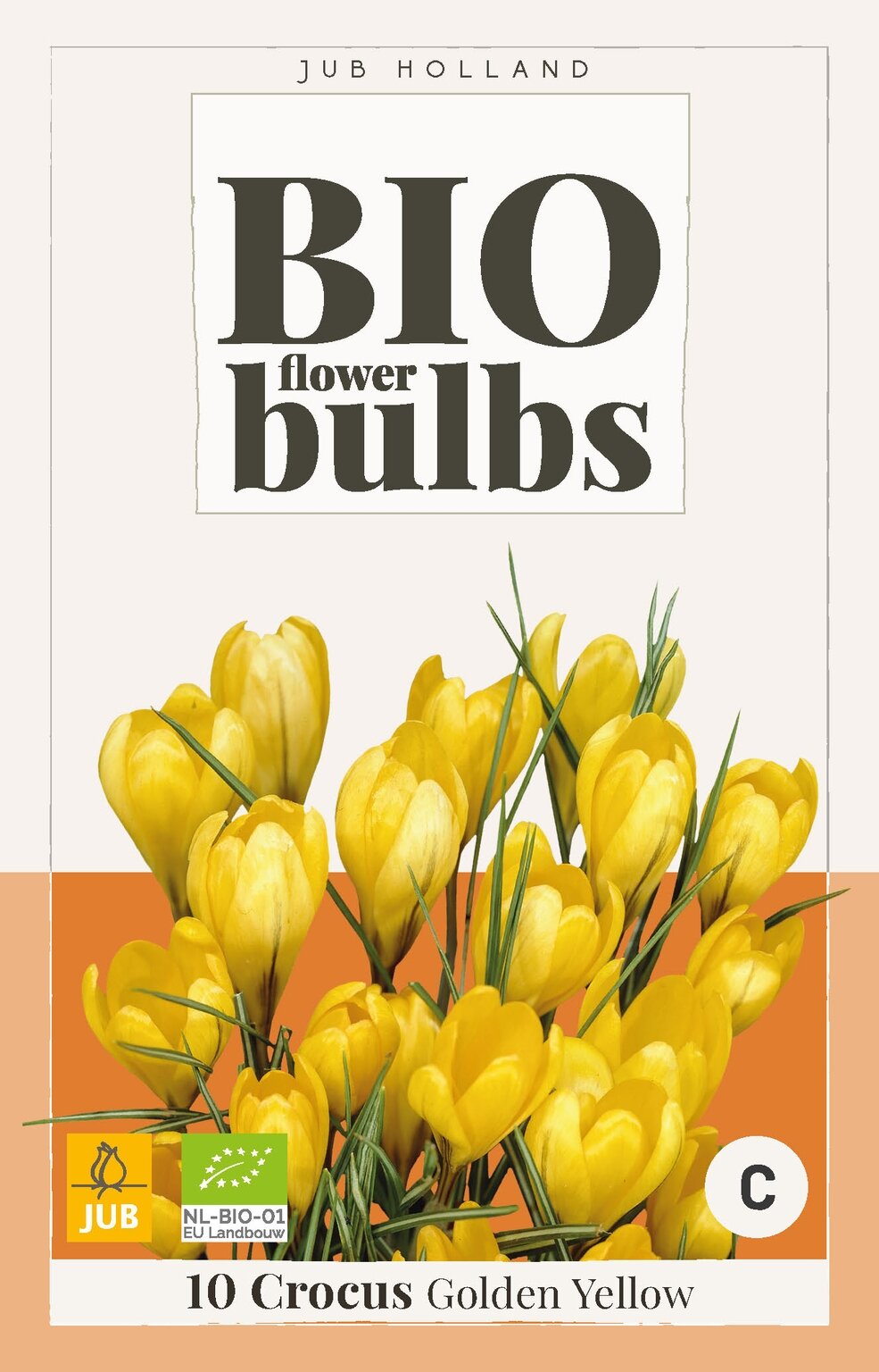 Bio Krokus golden yellow 10 bollen