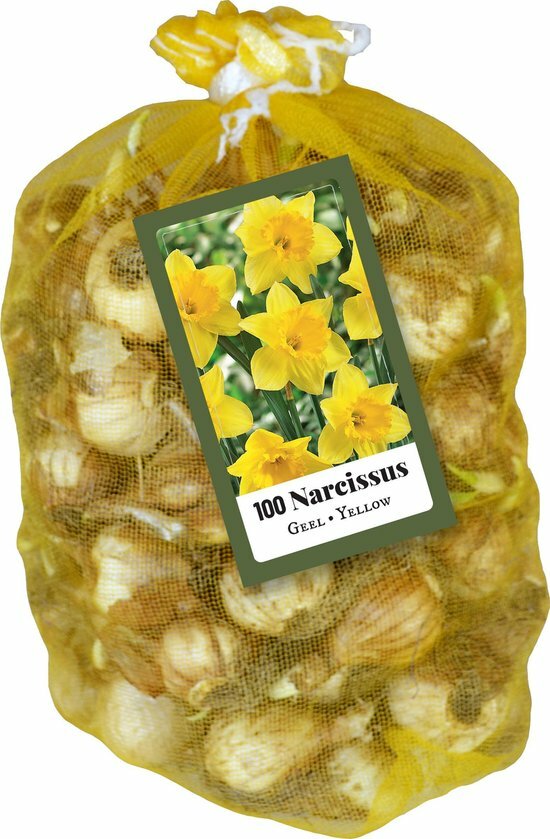 100 narcisbollen geel