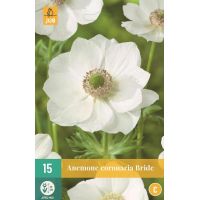 Anemoon coronaria bride 15 bollen - afbeelding 1
