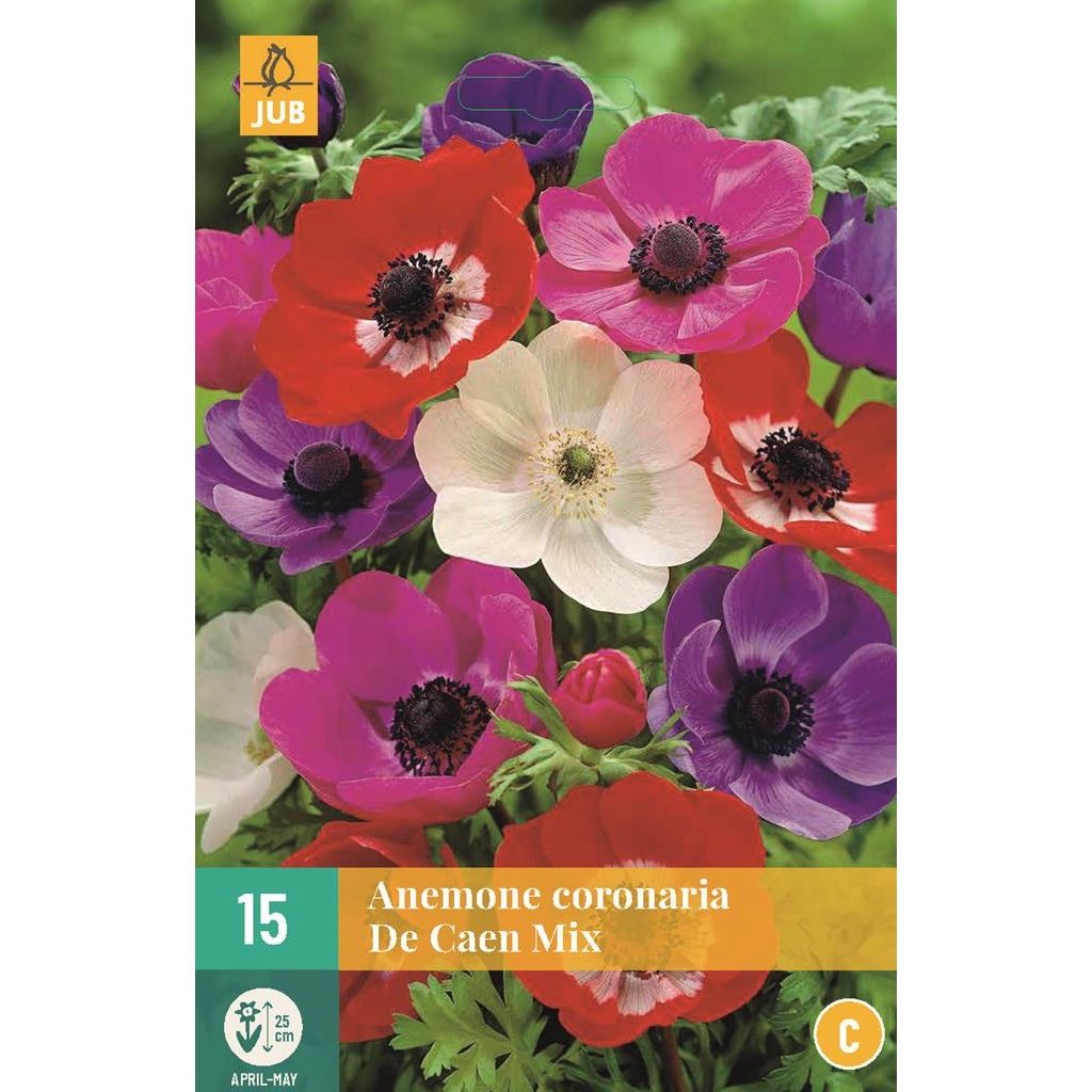 Anemoon coronaria de caen mix 15bollen