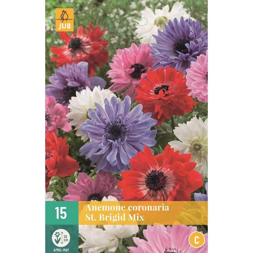 Anemoon coronaria st. Brigid mix 15 bollen
