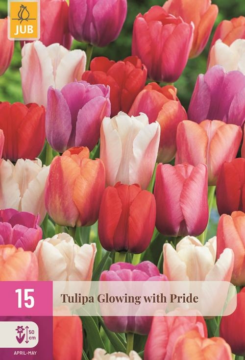 Tulpen glowing with pride 15 bollen