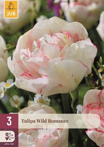 Tulp wild romance 3 bollen