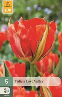 Tulpen love valley 5 bollen