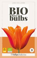 Bio tulp ballerina 7 bollen - afbeelding 1