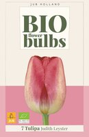 Bio tulp Judith Leyster 7 bollen
