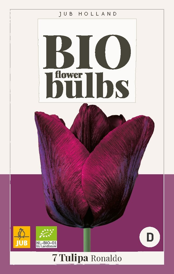 Bio Tulp Ronaldo 7 bollen