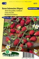 Aardbei zaden (bos) Baron Solemacher